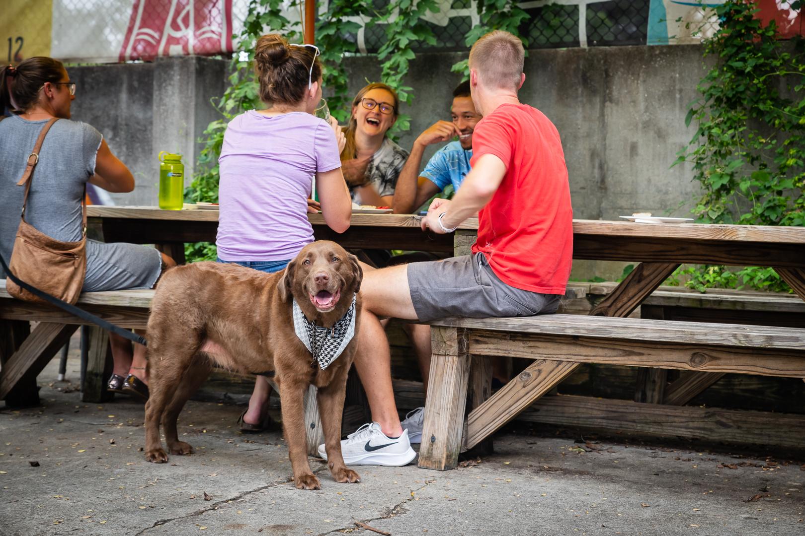 Trivia and beer for Wild Heaven Avondale's Tuesday happy hour